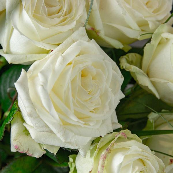 bouquet roses blanches